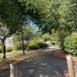 orientation-scolaire-pace-lieu